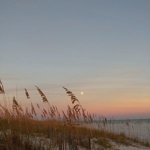 Meet your Posher, Janelle